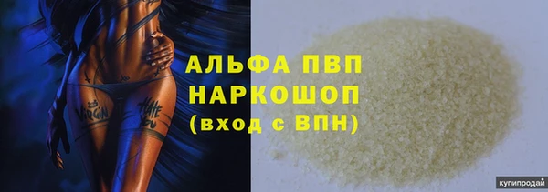apvp Магадан