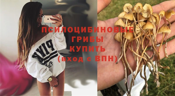 кокс Майский