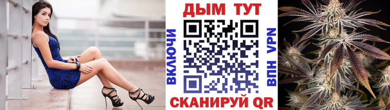 Конопля Bruce Banner  Купить где  Игарка 